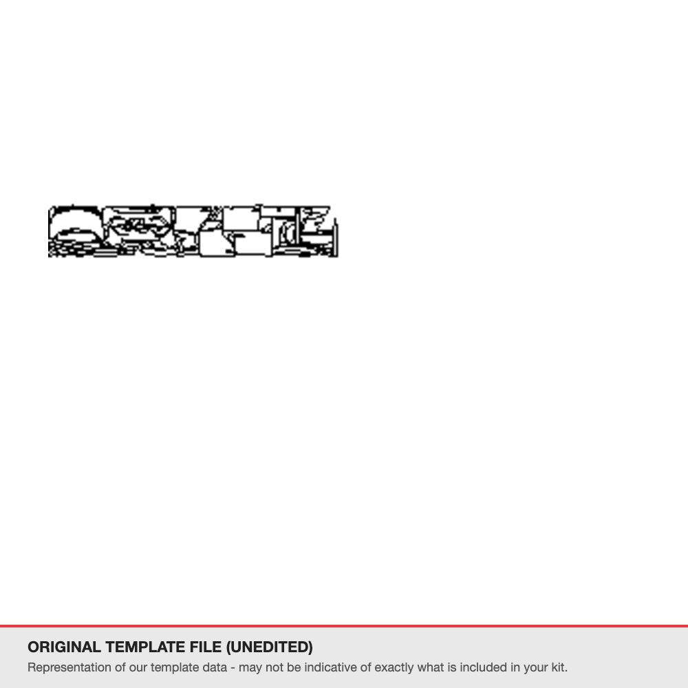 BYD Dolphin 2024 original template file