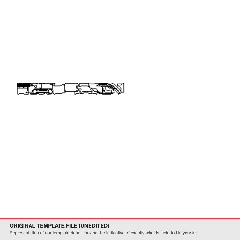 Dodge Charger Daytona Scat Pack 2026+ original template file
