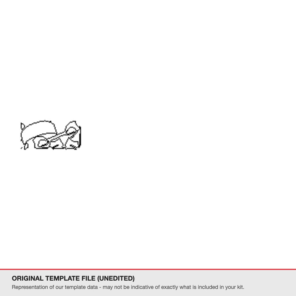 Volkswagen Transporter 2022-2024 original template file