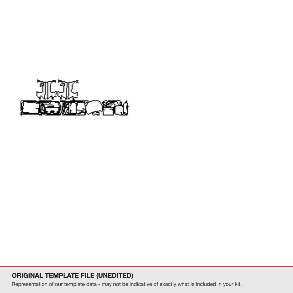 Toyota Hilux 2024 original template file (template 1)