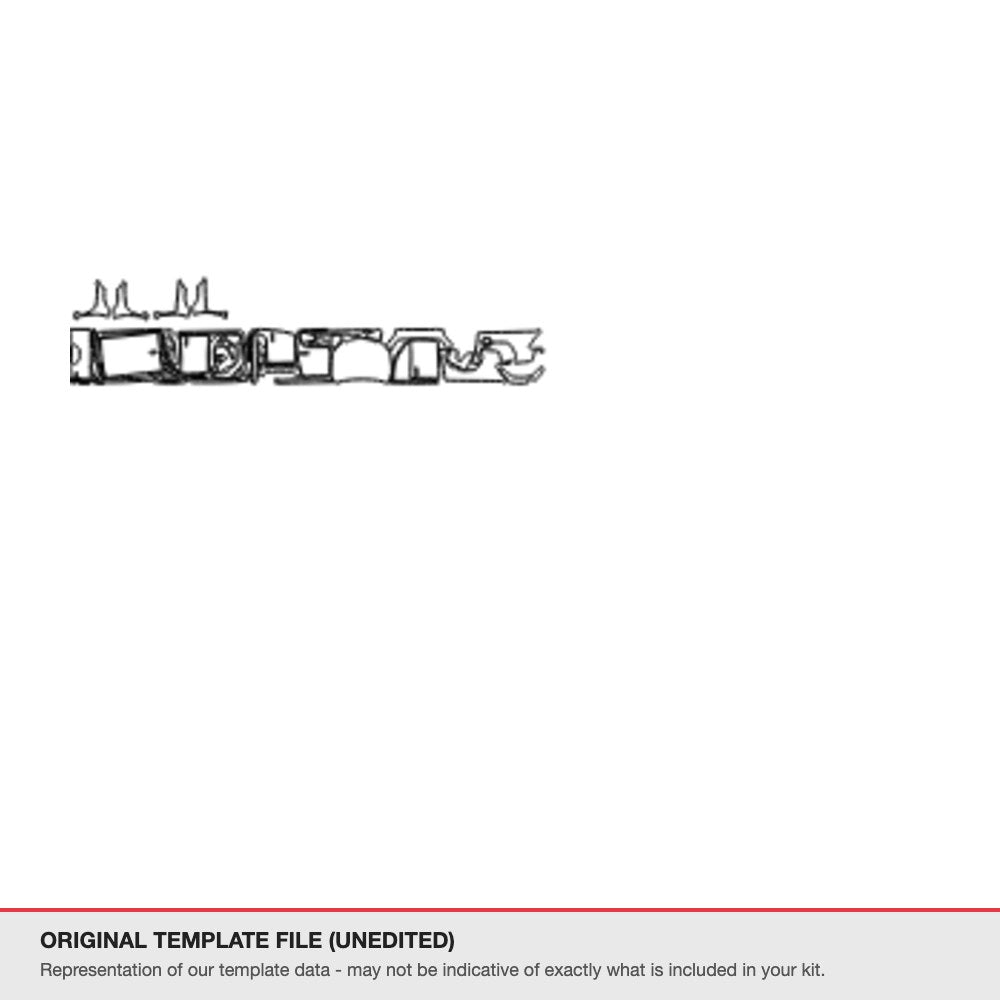 Toyota Hilux 2024 original template file (template 2)