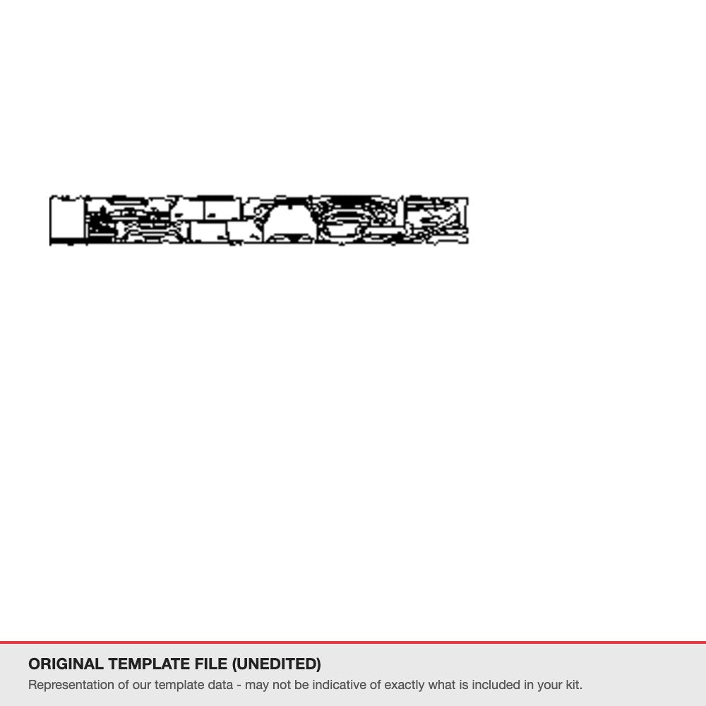 Zeekr 001 2024-2025 original template file