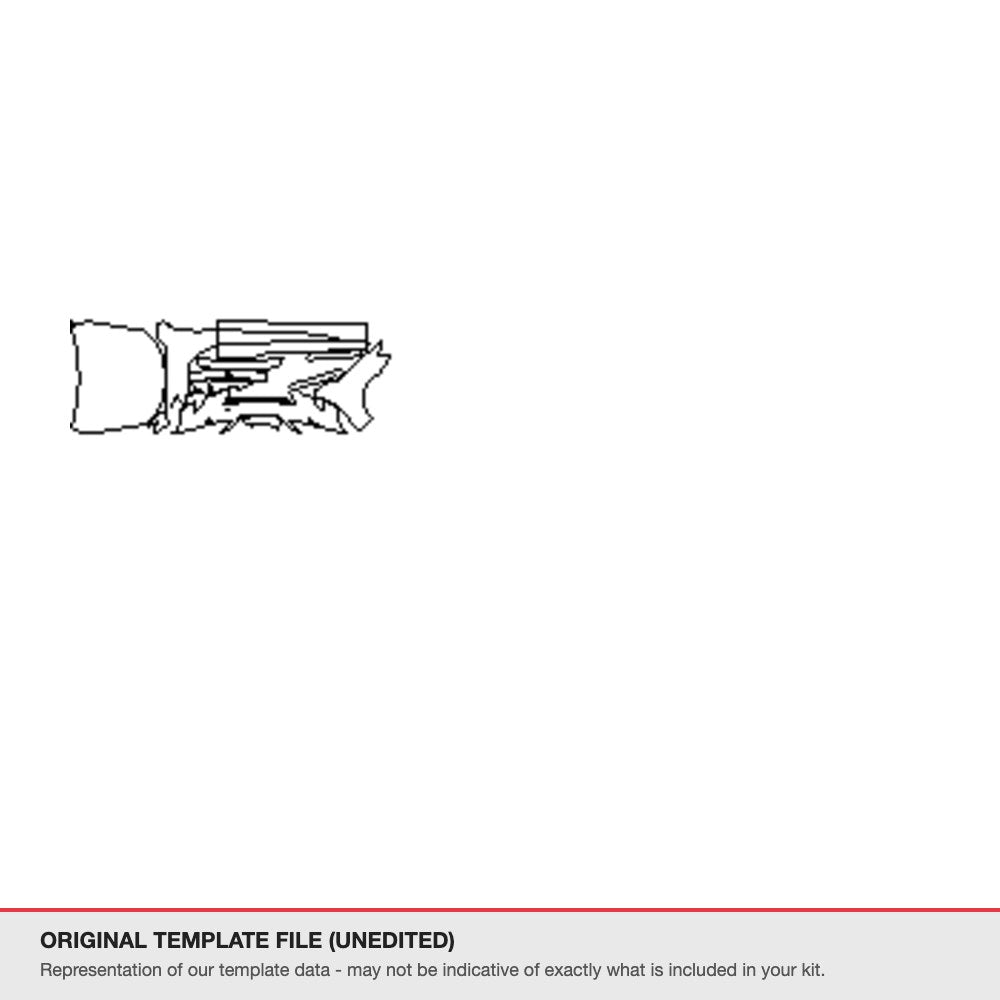 Lexus IS 2015-2016 original template file (template 2)