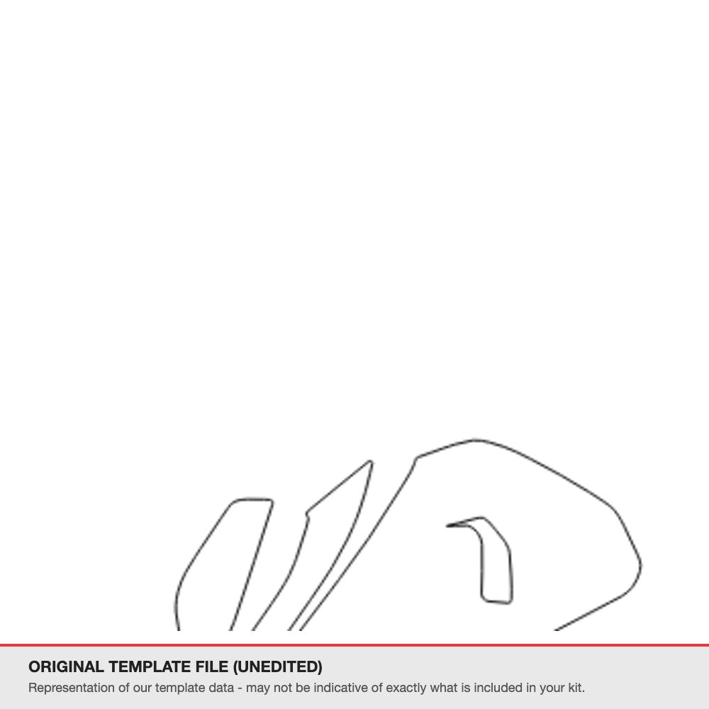 Ducati Street Fighter V2 2022+ original template file