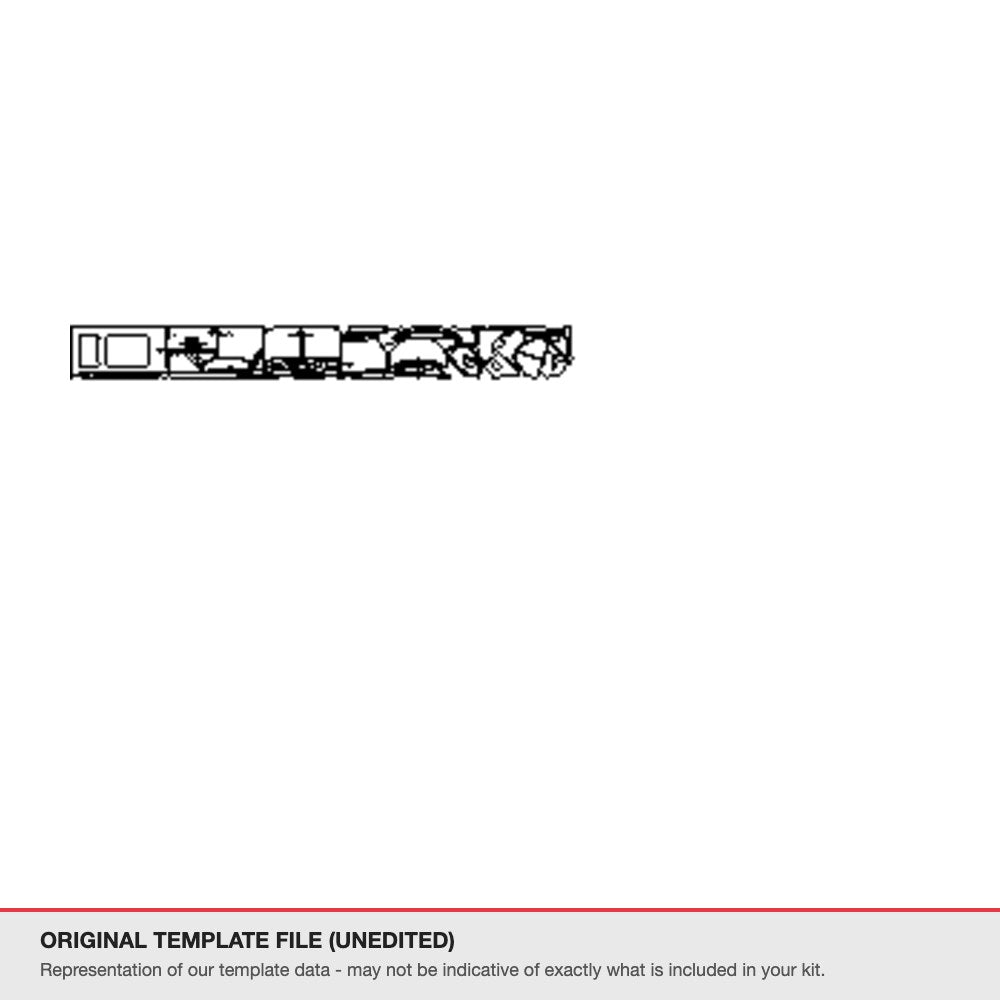 Denza D9 2022-2024 original template file (template 1)